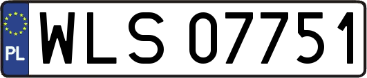 WLS07751
