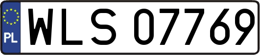 WLS07769
