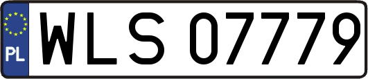 WLS07779