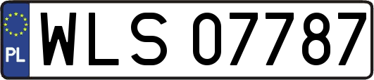 WLS07787