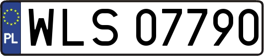 WLS07790