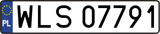 WLS07791