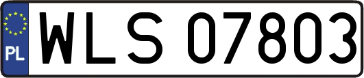 WLS07803