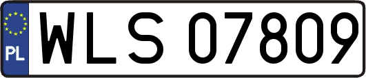 WLS07809