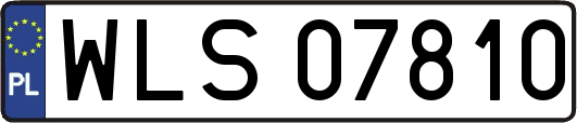 WLS07810