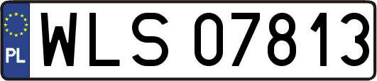 WLS07813