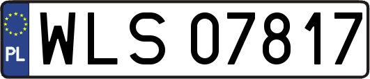 WLS07817