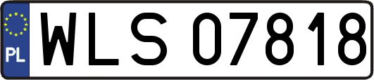 WLS07818