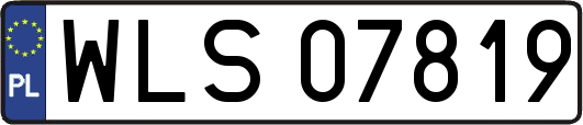 WLS07819