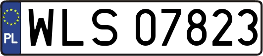 WLS07823