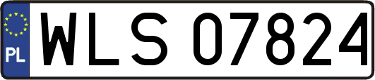 WLS07824