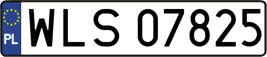 WLS07825