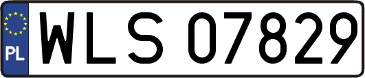 WLS07829