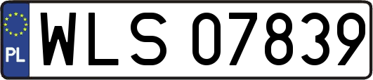 WLS07839