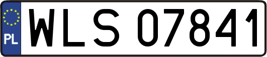 WLS07841