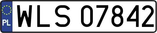 WLS07842