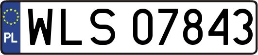 WLS07843
