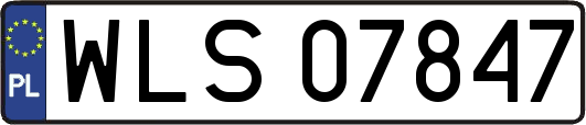 WLS07847