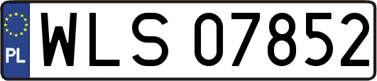 WLS07852