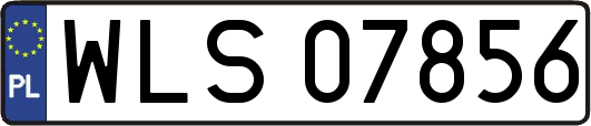 WLS07856