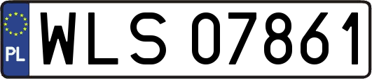 WLS07861