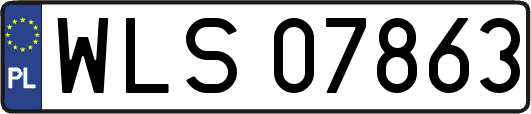 WLS07863