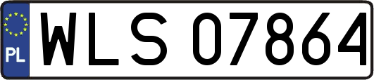 WLS07864