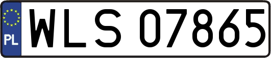 WLS07865