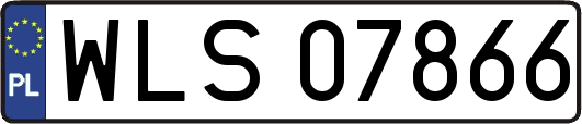 WLS07866
