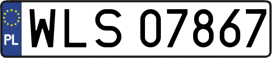WLS07867