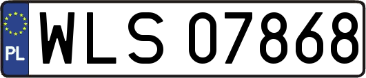 WLS07868