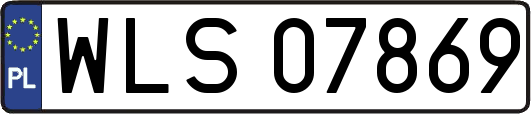WLS07869
