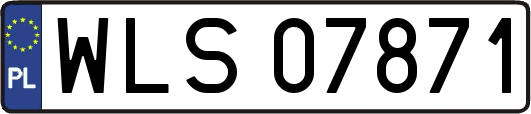 WLS07871