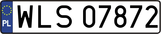 WLS07872
