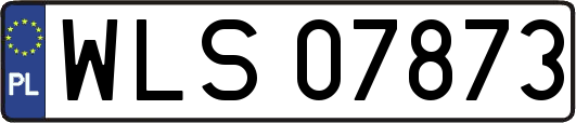 WLS07873