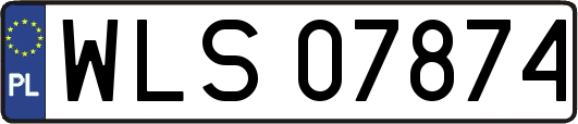 WLS07874