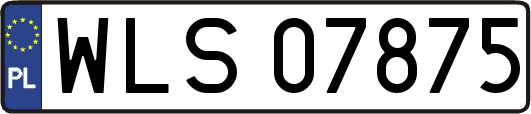 WLS07875