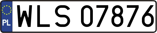 WLS07876