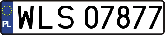 WLS07877