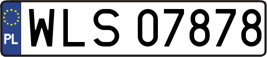WLS07878