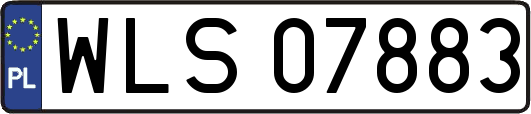 WLS07883