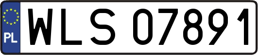 WLS07891