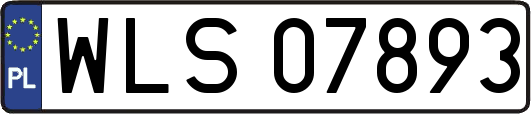 WLS07893
