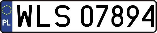WLS07894