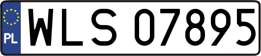 WLS07895