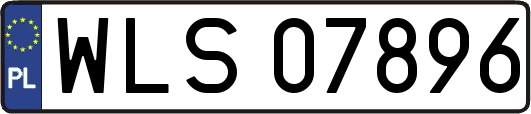 WLS07896