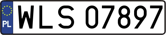 WLS07897
