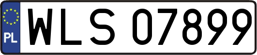 WLS07899