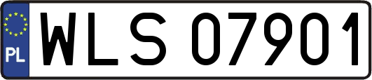 WLS07901