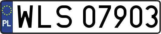 WLS07903